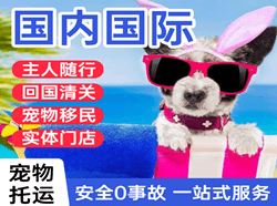 黄山航空空运国际宠物托运 【国